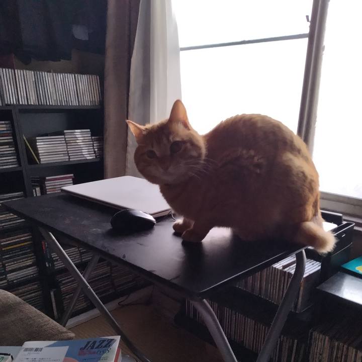 Cca4d5f1 efdb 4183 9129 826c67c44dab 1678831504459