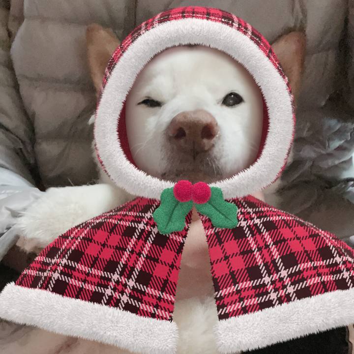 Cca50656 9be2 491e 9721 b75e40ddc1ca 1639553923998