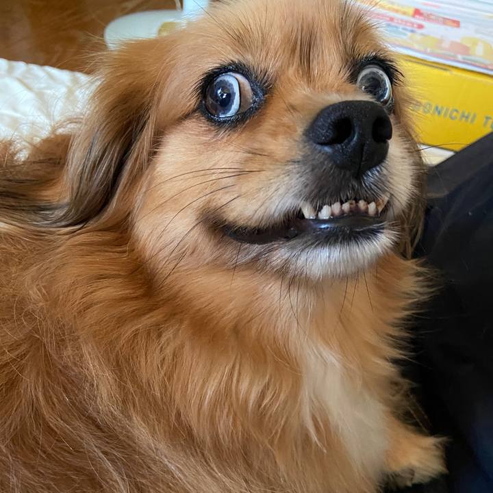 Cca5102c c85d 4a4c 8978 c85d469a724c 1626644304417