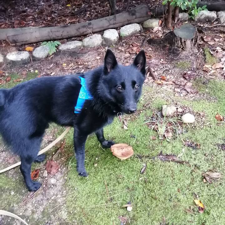 Cca52700 9190 4294 9953 fcf882ed76fa 1602977817637