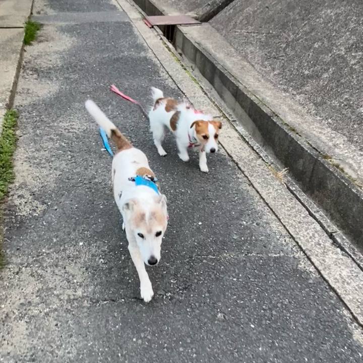 Cca541b2 8dc5 4867 8c27 5078838b7e10 1709503349713