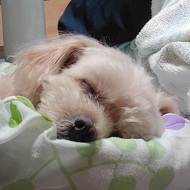 Cca5486b b930 46ce bd63 6eb50bb0eebc 1663566220444