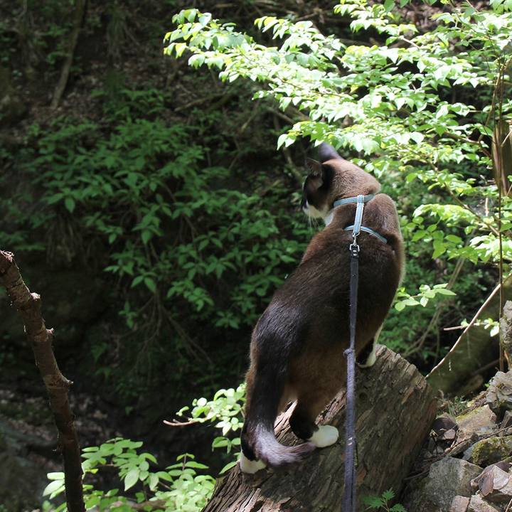 Cca58a93 6509 48bf 8c2a ca5ee59e4d95 1554380119699