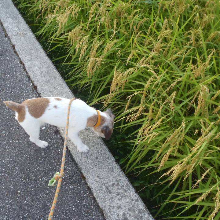 Cca58d54 56d8 43da 8b26 040bf8b7e8bf 1566904993670