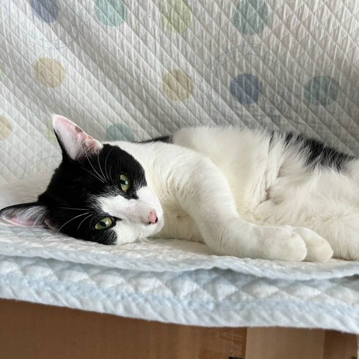 Cca59fa8 81b1 4c54 84c2 862b2f85a82c 1657498246727