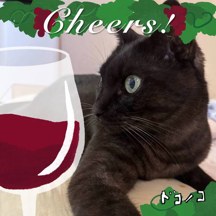 Cca5a752 f1fa 4510 92e1 4117cf02912c 1761518965172