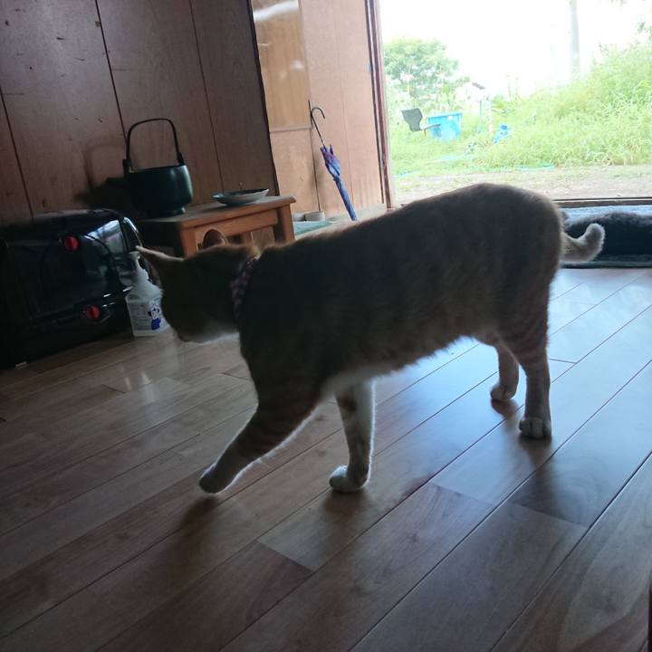 Cca5b2f6 812d 4528 bf50 854ea49653f7 1597561771784