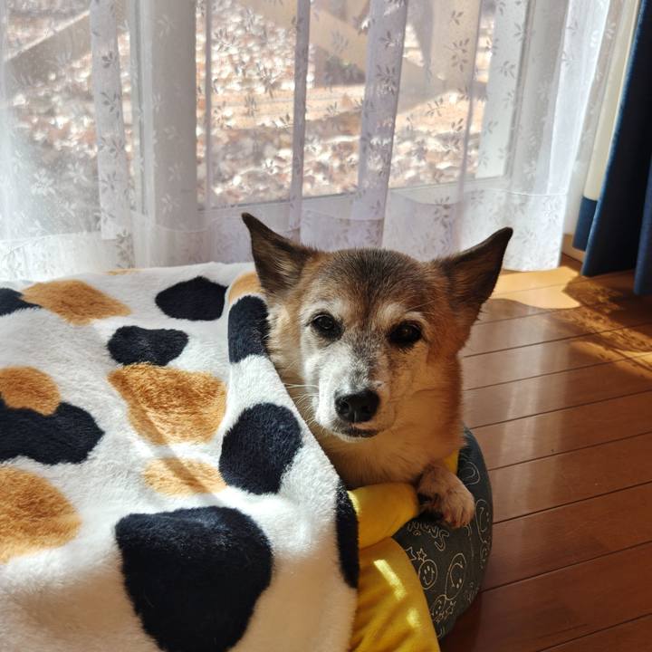 Cca5b5e3 b554 414f b8c0 3a3e11695b2a 1762913641867