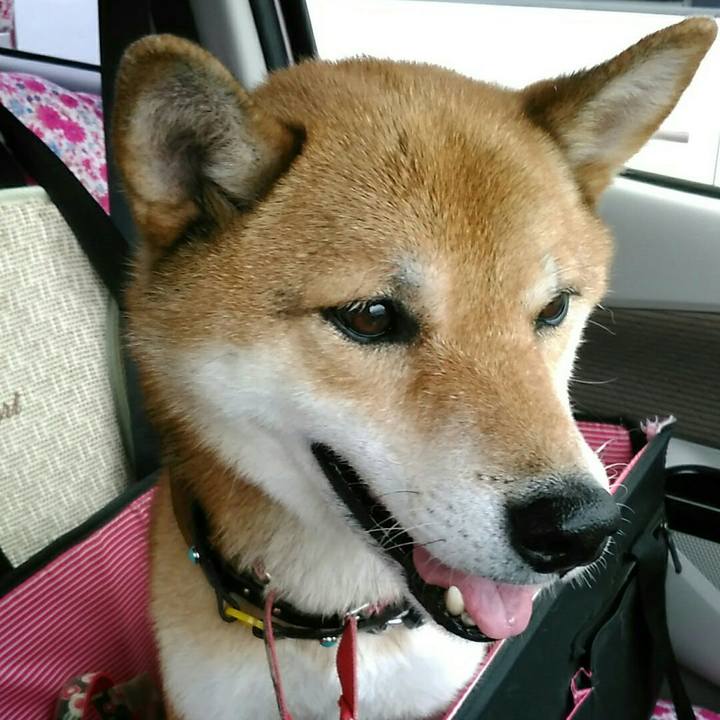 Cca5e35d 9102 4e47 8409 994756476865 1567579703834