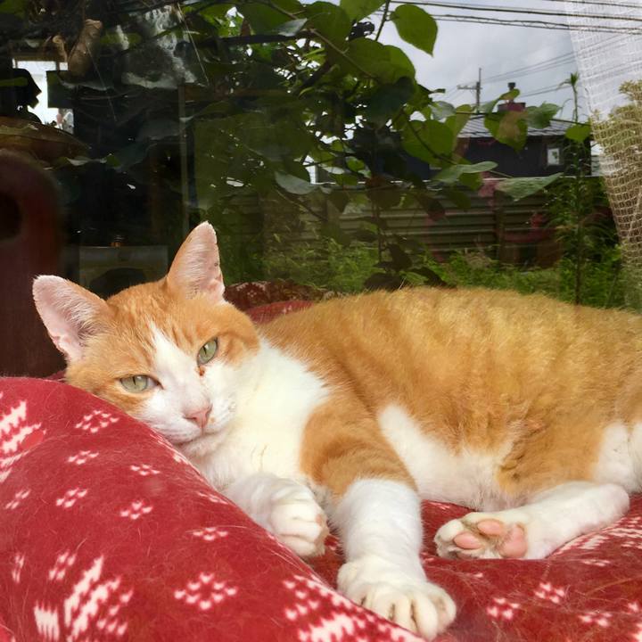 Cca5fb51 535e 45d7 a24d 1a82763cc3a0 1565578950261