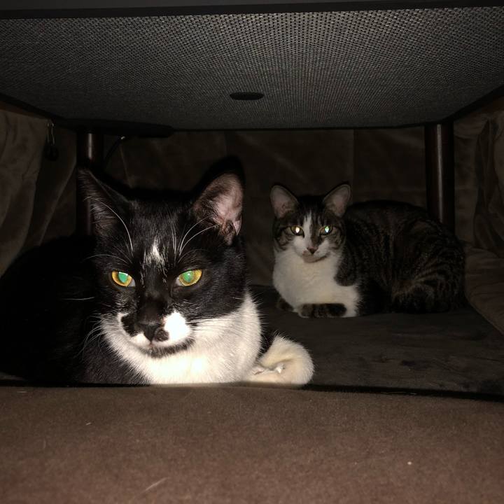 Cca603a5 cb13 47e1 9284 274954d6cda3 1547201674126