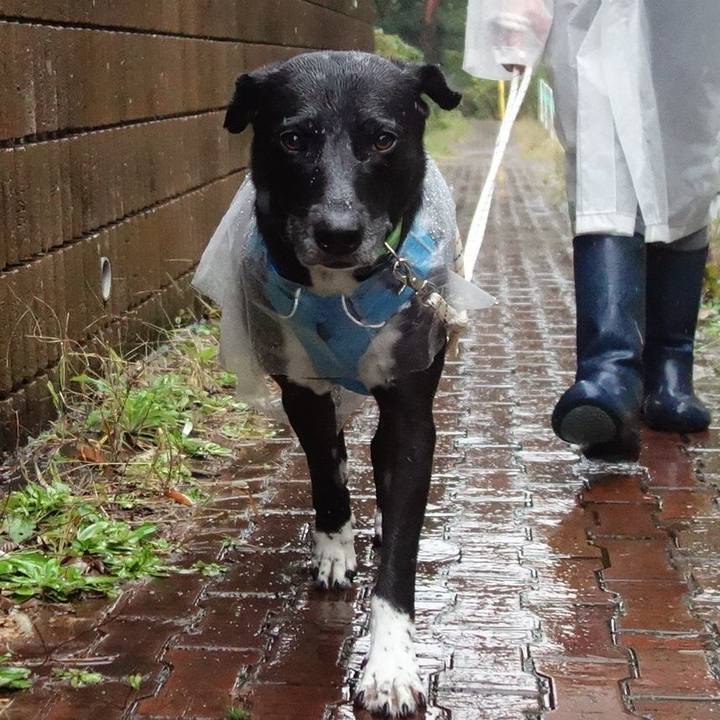 Cca63182 c947 4800 be03 61ff90af6ae0 1636414532290