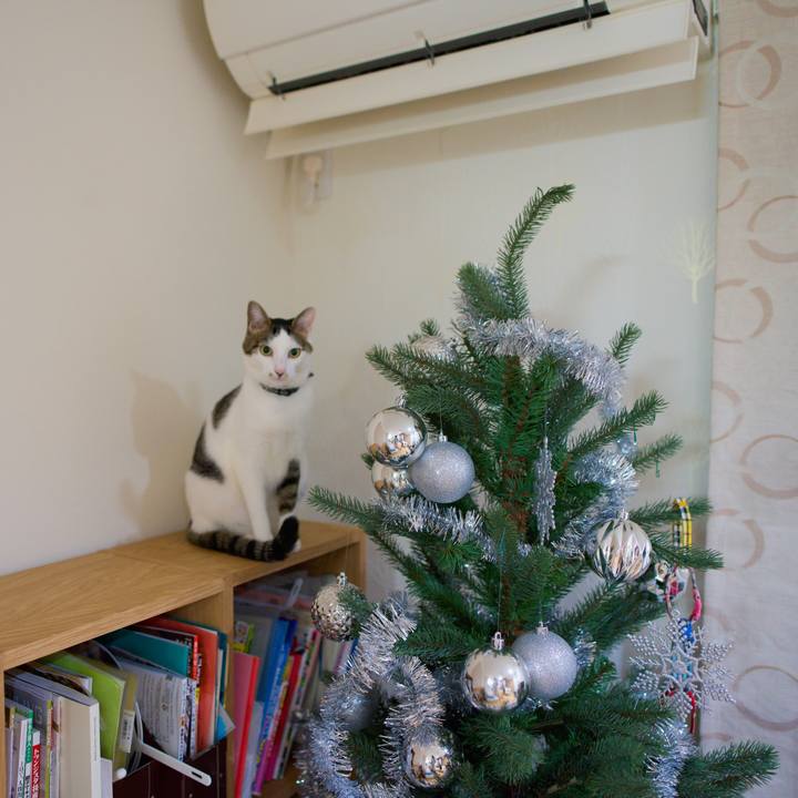 Cca68c4a 419d 4ca3 8f37 278bfd8ce185 1577105497562