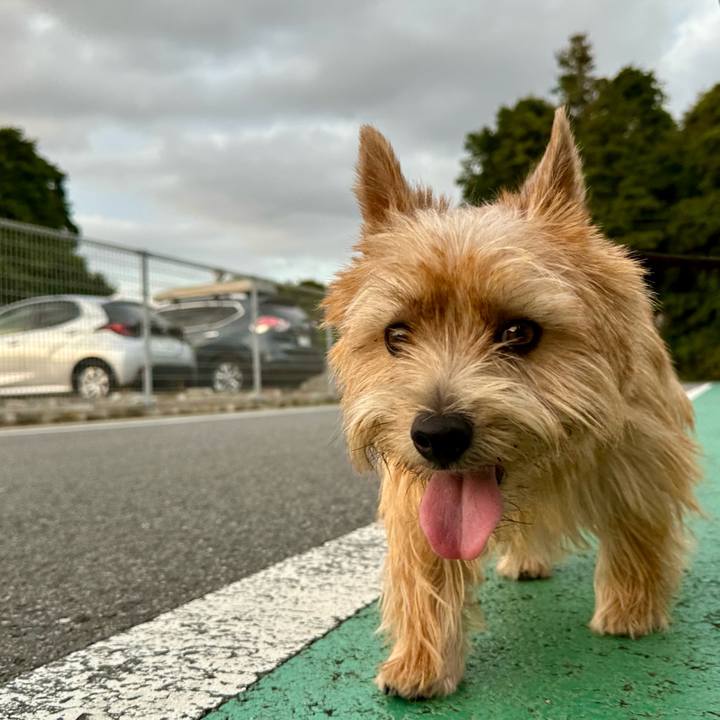 Cca6a6d0 1e30 4809 b13c e47d2d7adfc6 1759057404776