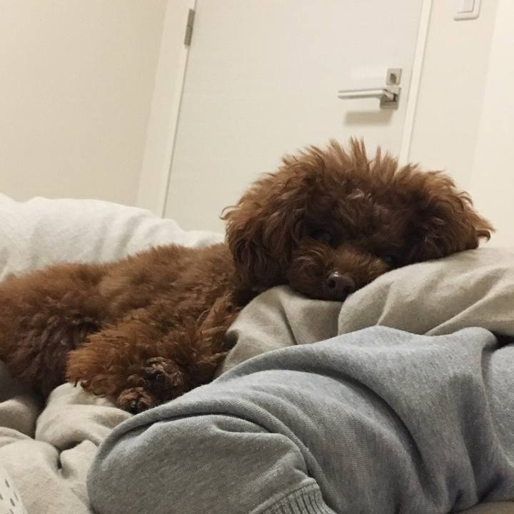 Cca6c60b bfd9 4ace 8165 4f6e0a09d439 1517897862249