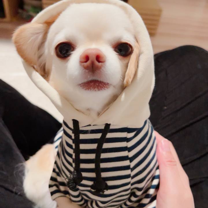 Cca6e520 9b3b 4ba0 bafe b69f87841c13 1706179821577