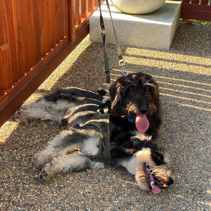 Cca6f297 39e8 4206 8b05 8b15a5dad6b9 1597516614325