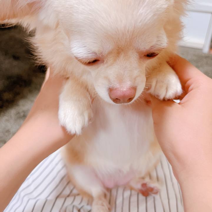 Cca74b0b c4d3 4ccb a93f 626feac2a946 1657601745433