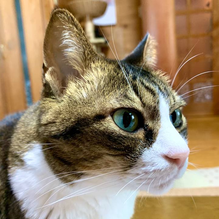 Cca74fb9 0511 4616 a500 9079b544947c 1584663300324