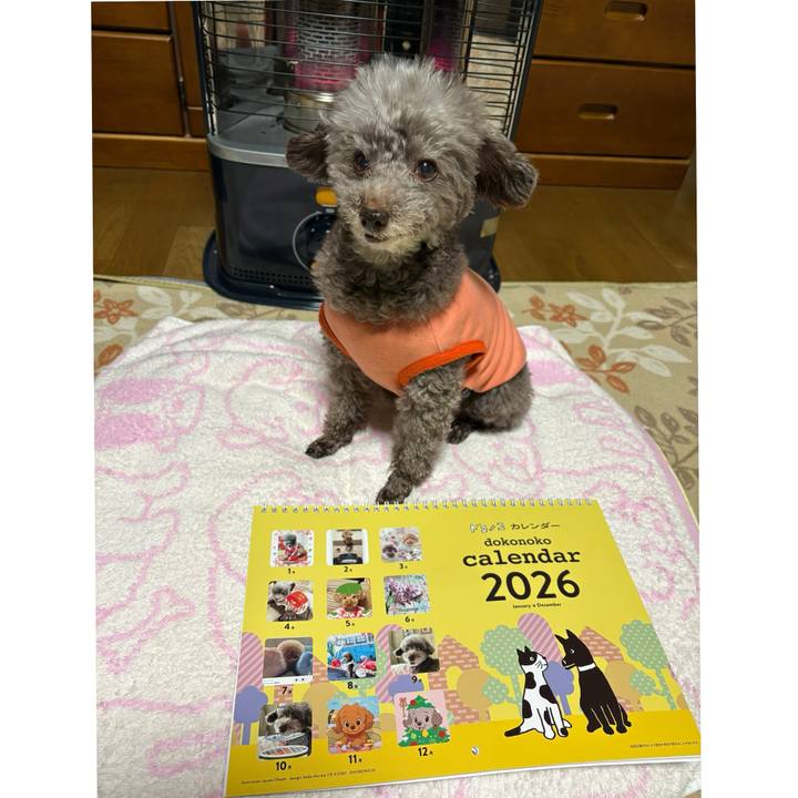 Cca75925 642d 4389 add4 a86801c2258c 1765353454976