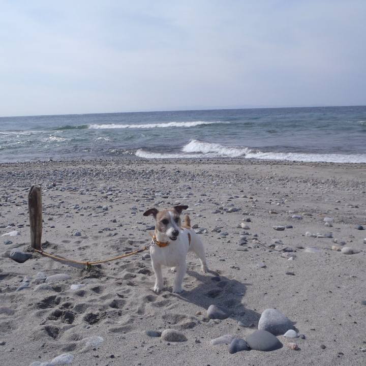 Cca78427 3b73 4b0a 813a e4411235f378 1520411597777