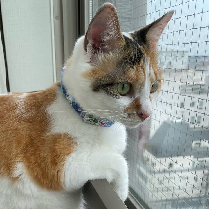 Cca791fc d476 4a22 9096 697b12be8f6e 1688869297130