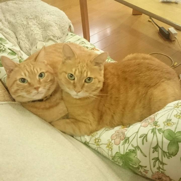 Cca79731 0b87 445e 9724 853a6427898d 1537537429460