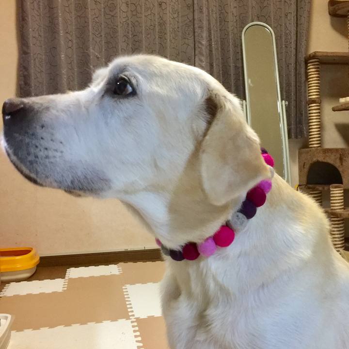 Cca7b672 78eb 4213 aebe f25762ee4fcd 1591701010465