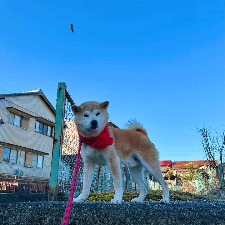 Cca7d8ef f57d 4f5b b0ca b47ce6ae55d2 1739531909701