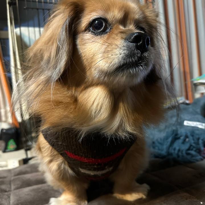 Cca7ef11 6963 4cf3 9324 a1934228a4d3 1732655308069