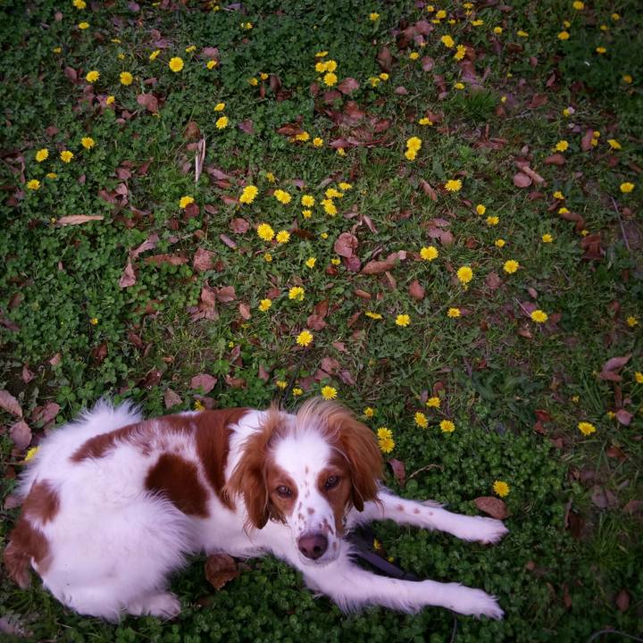 Cca827a7 c59c 45b2 bbed fe1ce666121c 1523101037904