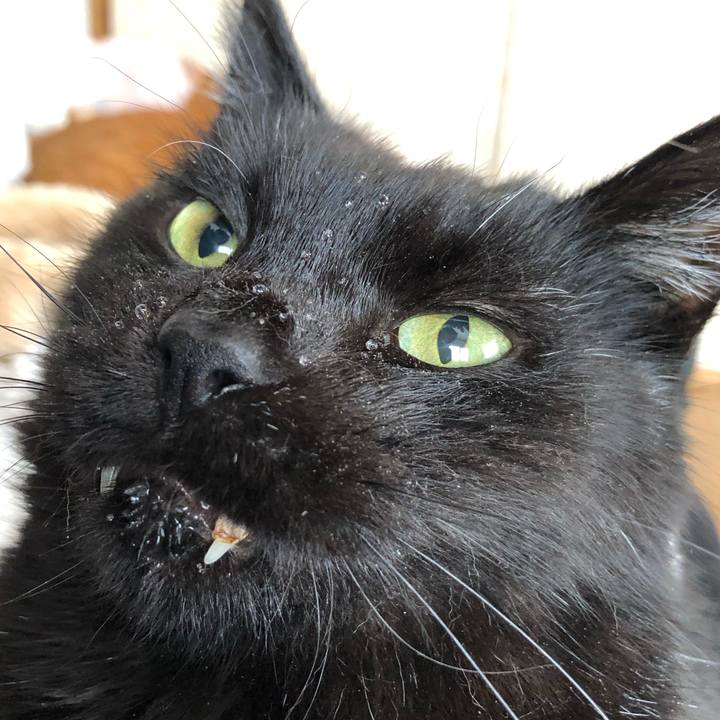 Cca8529e 1631 43d5 8992 81f6cd5d3984 1640832561989