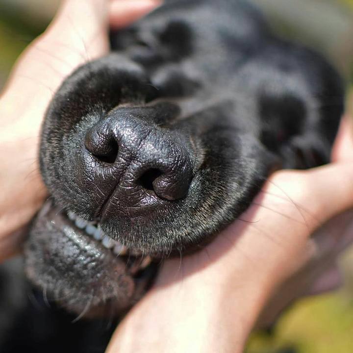 Cca88396 38d4 4f91 879c 7d09c880a13a 1523534531230