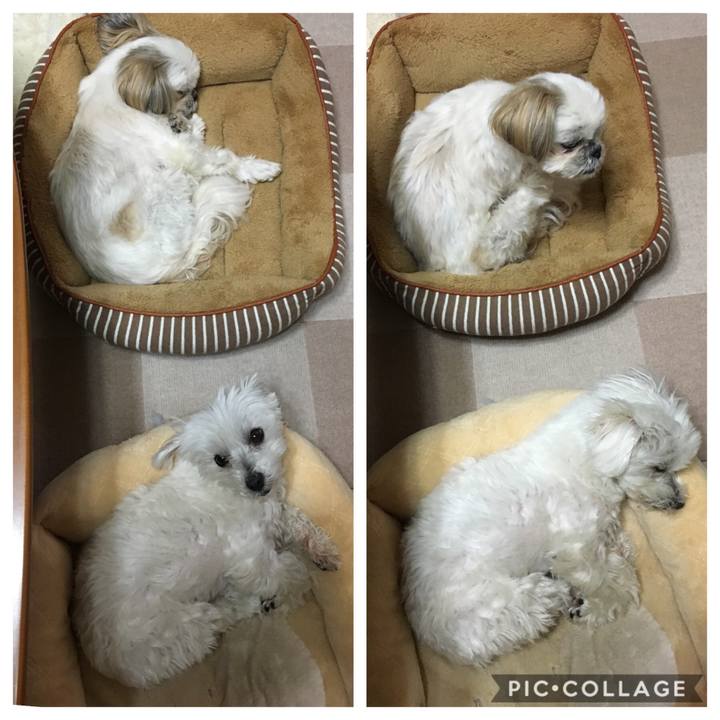 Cca89055 0eb1 4aeb 89f2 726477d685e8 1550844744469