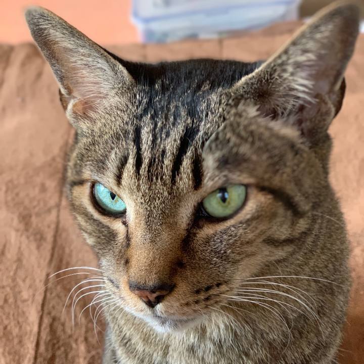 Cca8965e c78e 4400 81ea 0be0d1d2f679 1550971181958