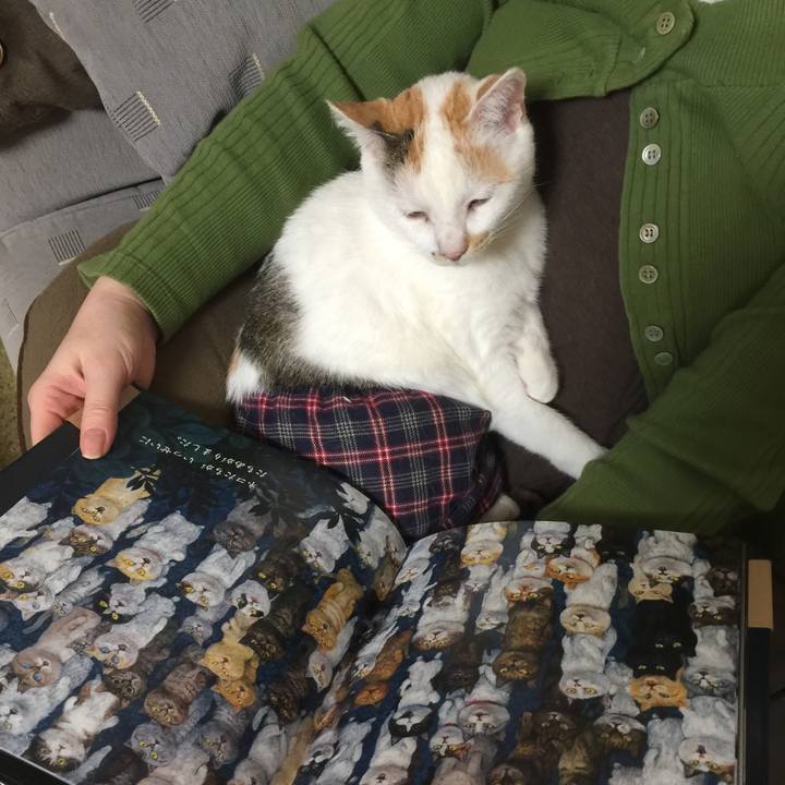 Cca8c7fd 9331 43ef bf90 ea5ffdaa75e5 1518094741748