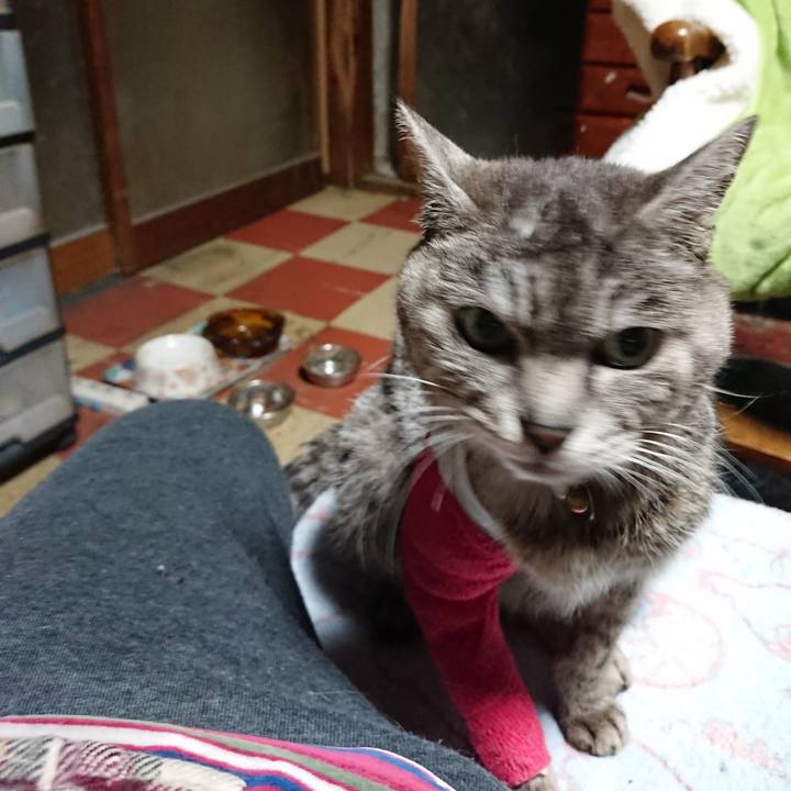 Cca8ca96 3d97 4161 80b9 952dd802d732 1586635542706