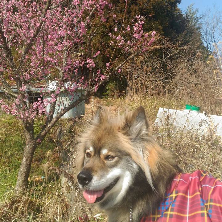 Cca919c6 df40 45f1 a457 a2ce3ac03696 1520730353664