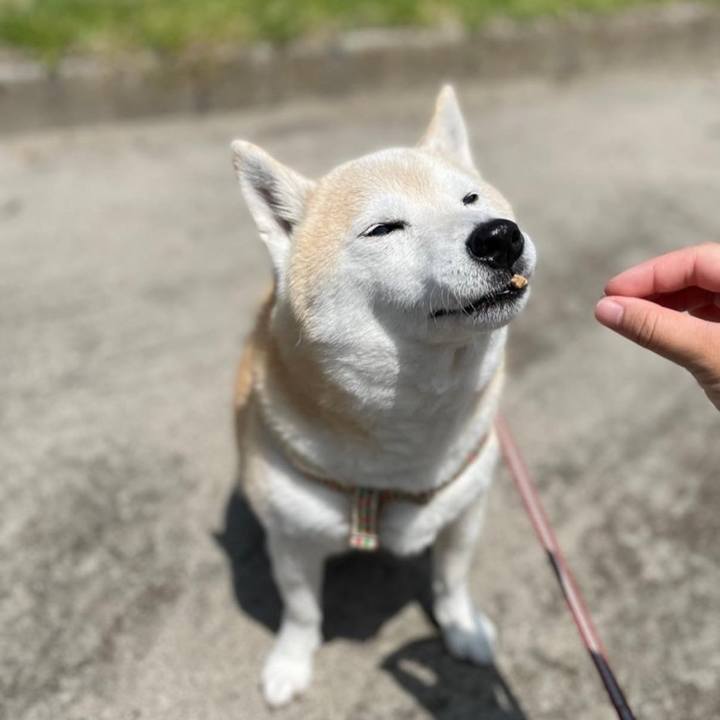 Cca9b3cd e9b7 49e3 b064 5582d0dd36c6 1667484911809