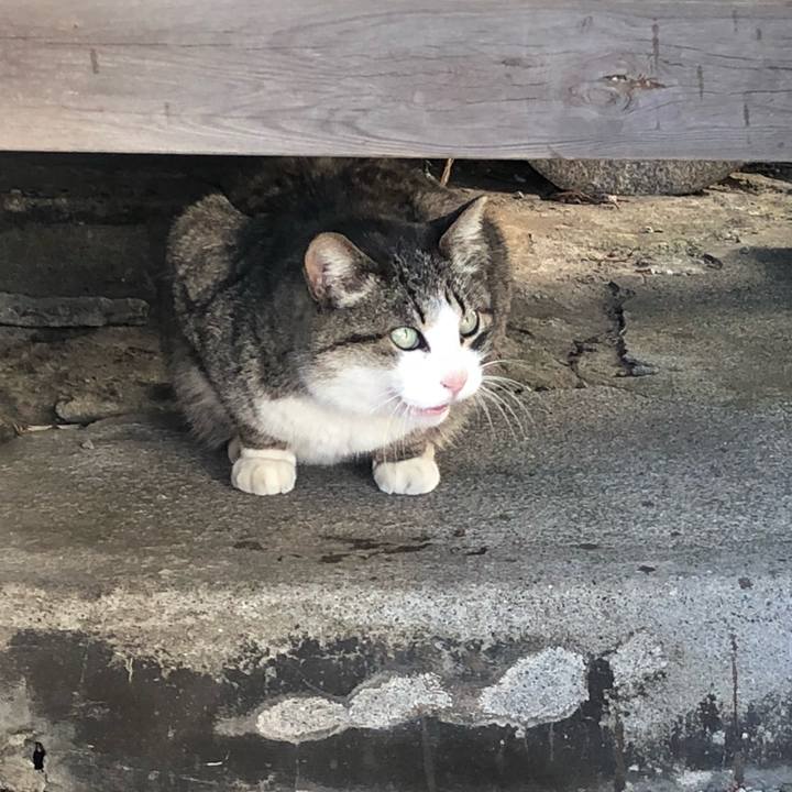 Cca9df82 b9e4 425e a19d 7f5254ac69dd 1521964079620