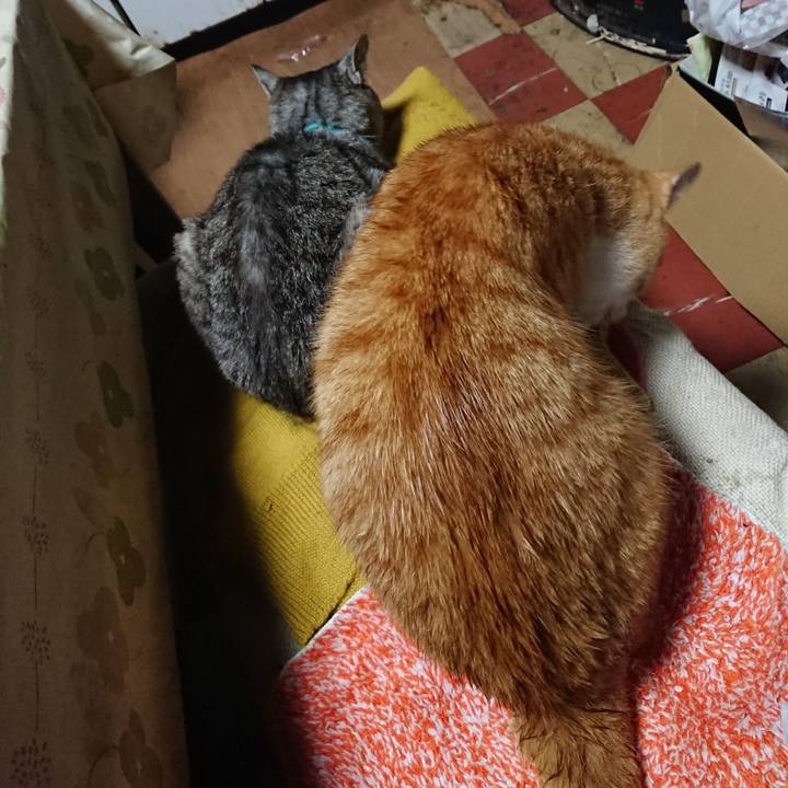 Cca9f1b6 854e 4396 b9fe d1c118f6578c 1571430584842