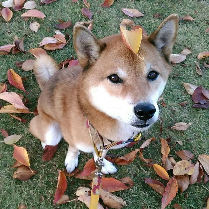 Ccaa3d67 0bd7 40f3 bd84 8f8c1099f4d8 1573800821015