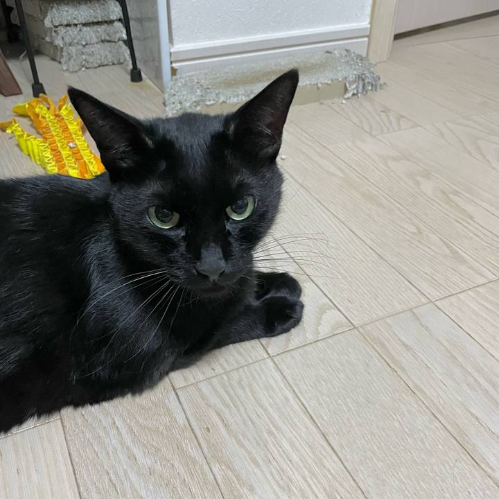 Ccaa6060 80c0 4358 a3d5 5f3b20722aa2 1722604136759