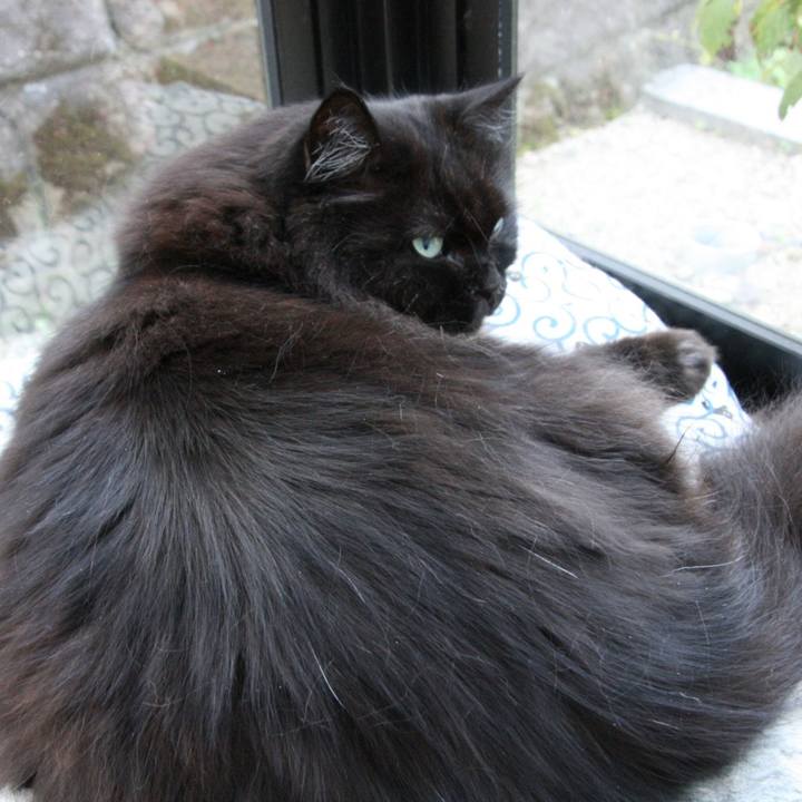 Ccaa6ed7 9706 48de 86a9 af5db6b66882 1758853618550