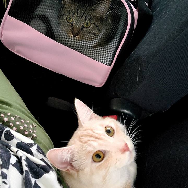 Ccaa8410 9e79 43fb 987a 685a83c465cd 1659772203310