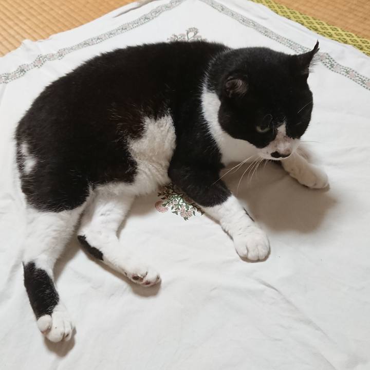 Ccab1978 9ee1 422e a628 b2cc1fca3530 1595973945158