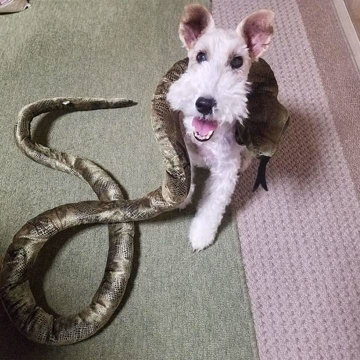 Ccab2787 6ba4 410c b566 660298e490d3 1529967590751