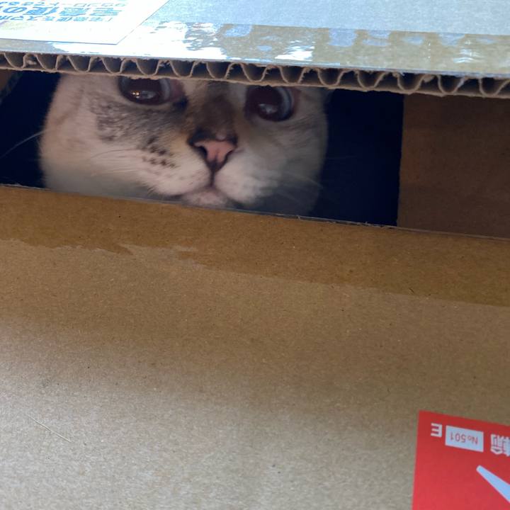 Ccab2b61 3ab6 4fdf 96a9 25e6b71405b5 1659430921364