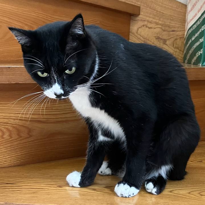 Ccab3747 9a5e 4b3e 9d62 5e4ab37ffa91 1697773298535