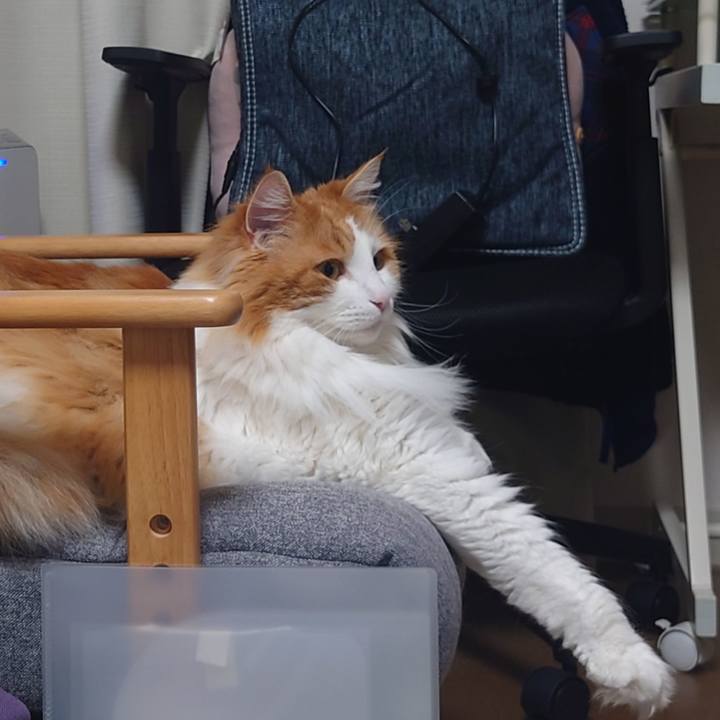 Ccab4497 7495 4587 a98d ad1ac07035ac 1684711181785